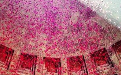 La Pioggia di Petali di Rosa di Pentecoste al Pantheon
