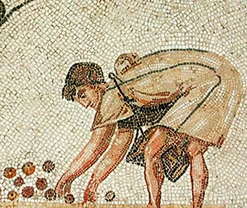 L’Agricoltura e le Fattorie Agricole nell’Antica Roma