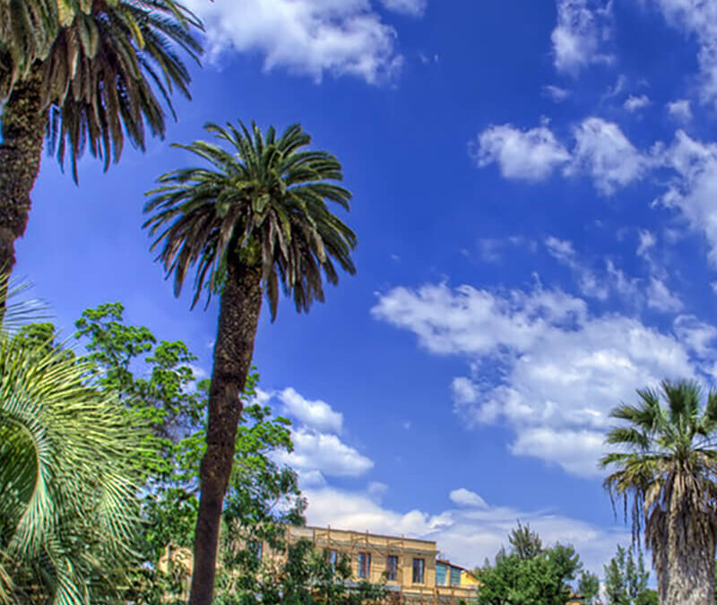 La Natura in Città: L’Orto Botanico di Roma