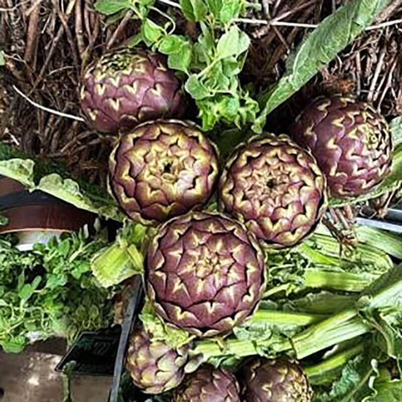 Esperienze enogastronomiche e tour Castelli Romani - Romaguidetour - Tour Visite Guidate Roma e Provincia Esperienze enogastronomiche e tour Castelli Romani - Romaguidetour - Tour Visite Guidate Roma e Provincia