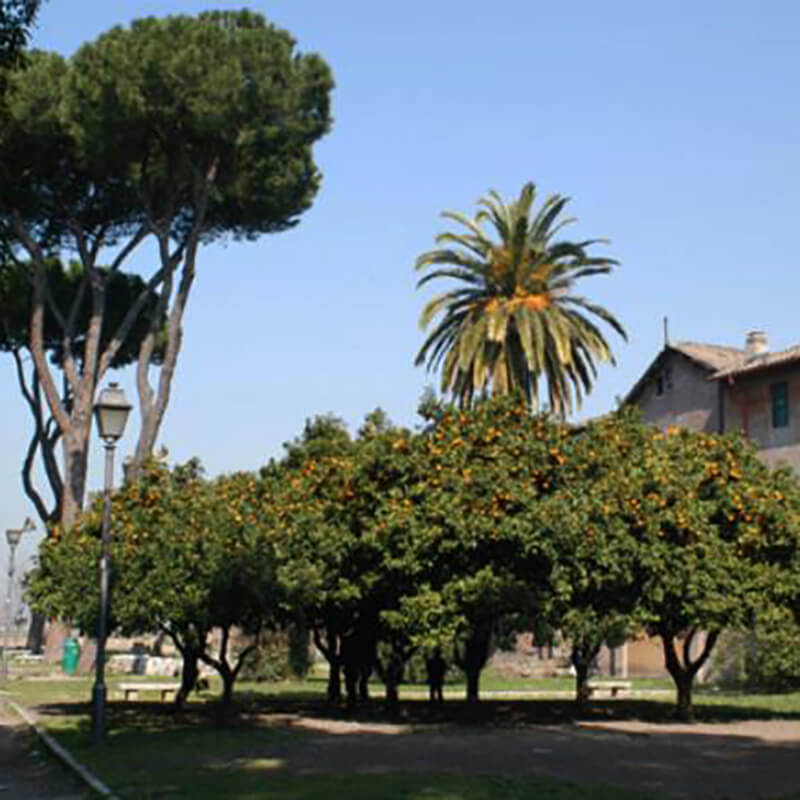 Roma Verde: Giardino San Alessio -Romaguidetour - Tour Visite Guidate Roma e Provincia