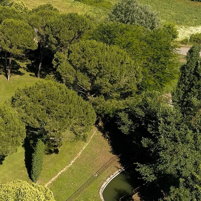 Roma Verde: Riserva Naturale della Marcigliana - Romaguidetour - Tour Visite Guidate Roma e Provincia