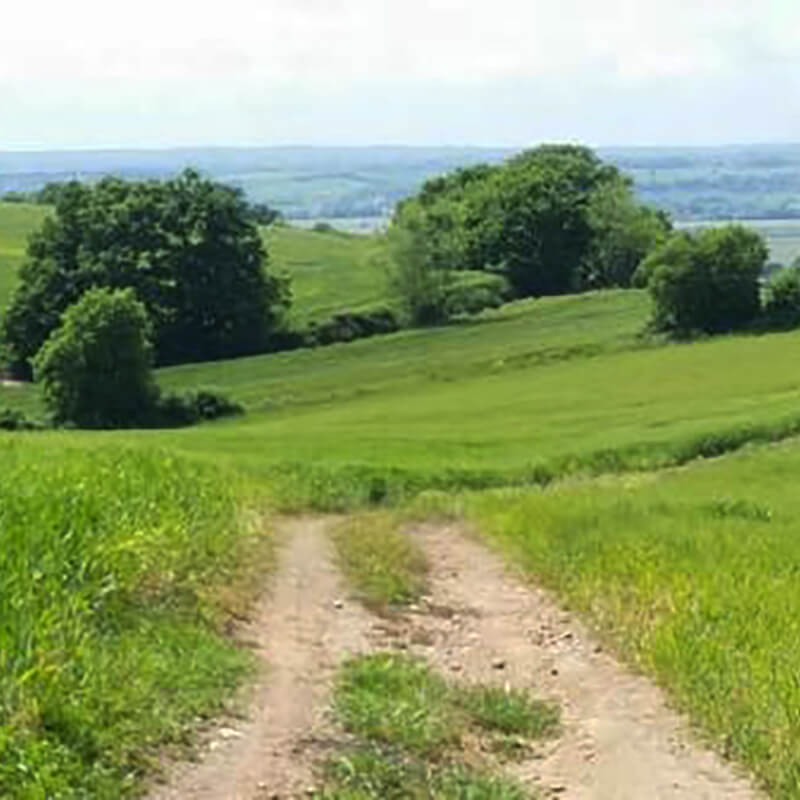 Roma Verde: Riserva Naturale della Marcigliana - Romaguidetour - Tour Visite Guidate Roma e Provincia