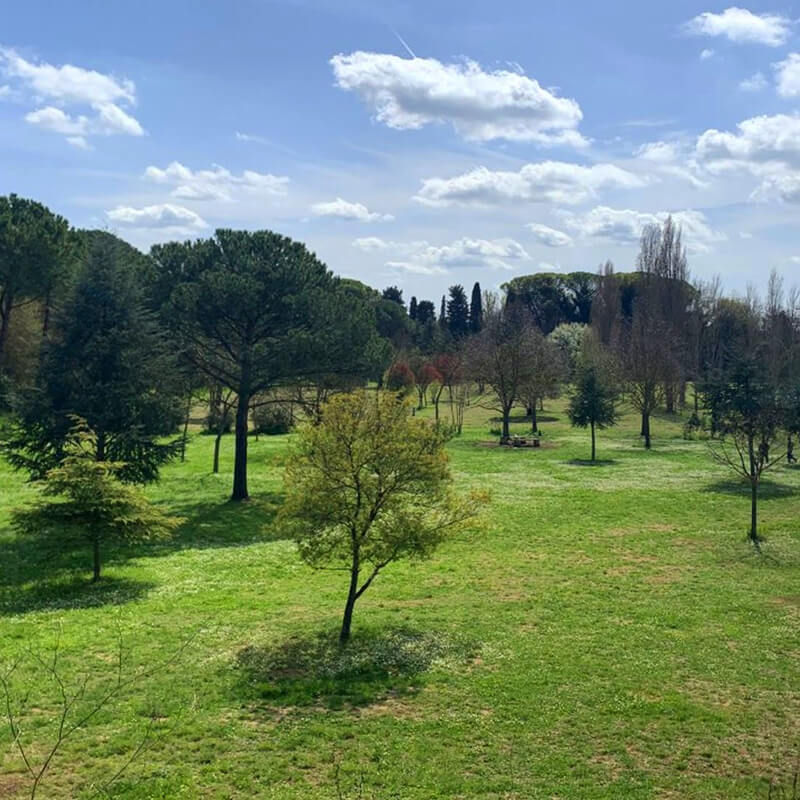 Roma Verde: Riserva Naturale Valle Aniene - Romaguidetour - Tour Visite Guidate Roma e Provincia