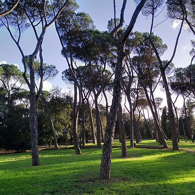 Roma Verde: Villa Glori - Romaguidetour - Tour Visite Guidate Roma e Provincia